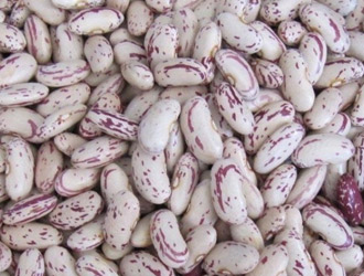 Kidney Beans