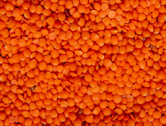 Lentils