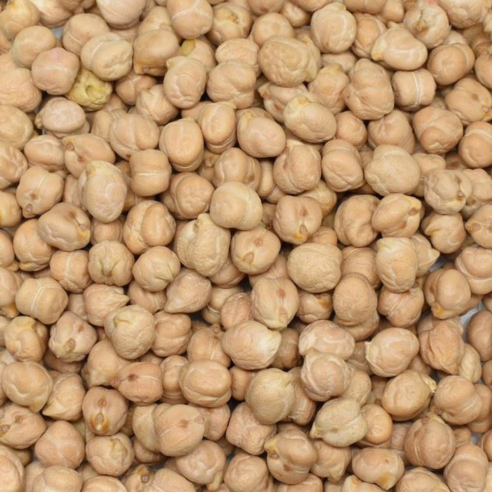 Chickpeas 10 mm