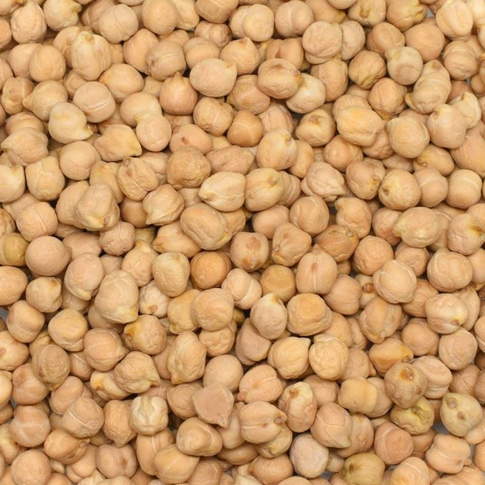 Chickpea 7mm