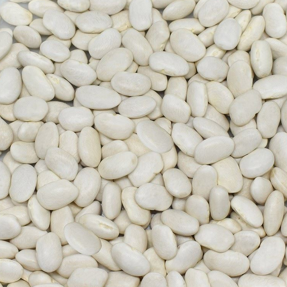 Dermason Beans (9mm)