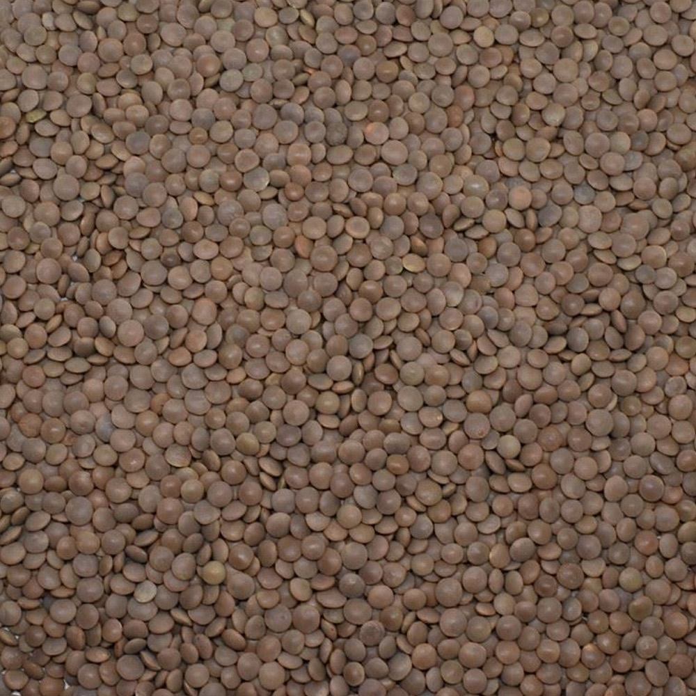 Lentils with Shells