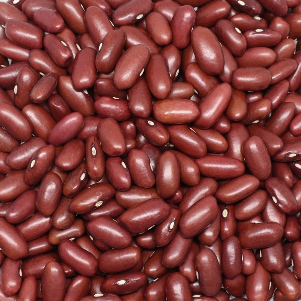 Red Beans (Mexico)