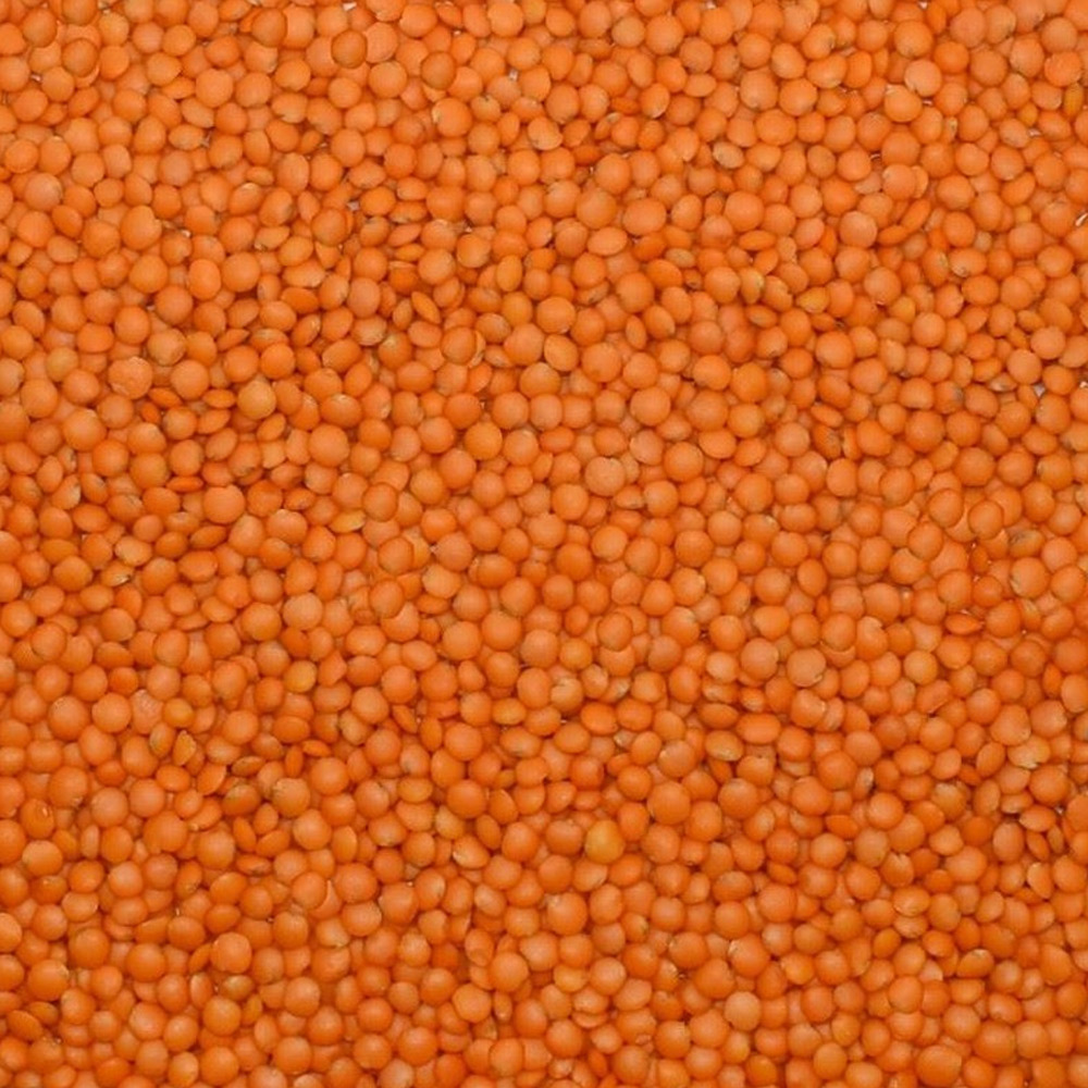 Red Football Lentils (Local Istanbul Varnish)