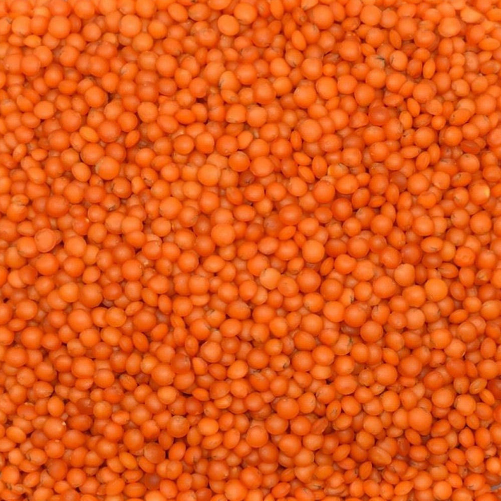 Red Football Lentils (Local Izmir Cila)