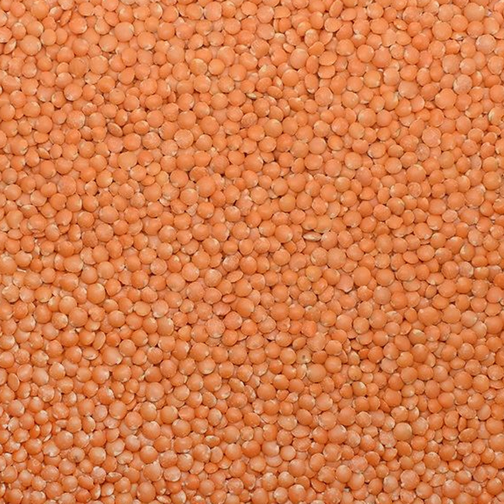 Red Football Lentils (Local Natural)