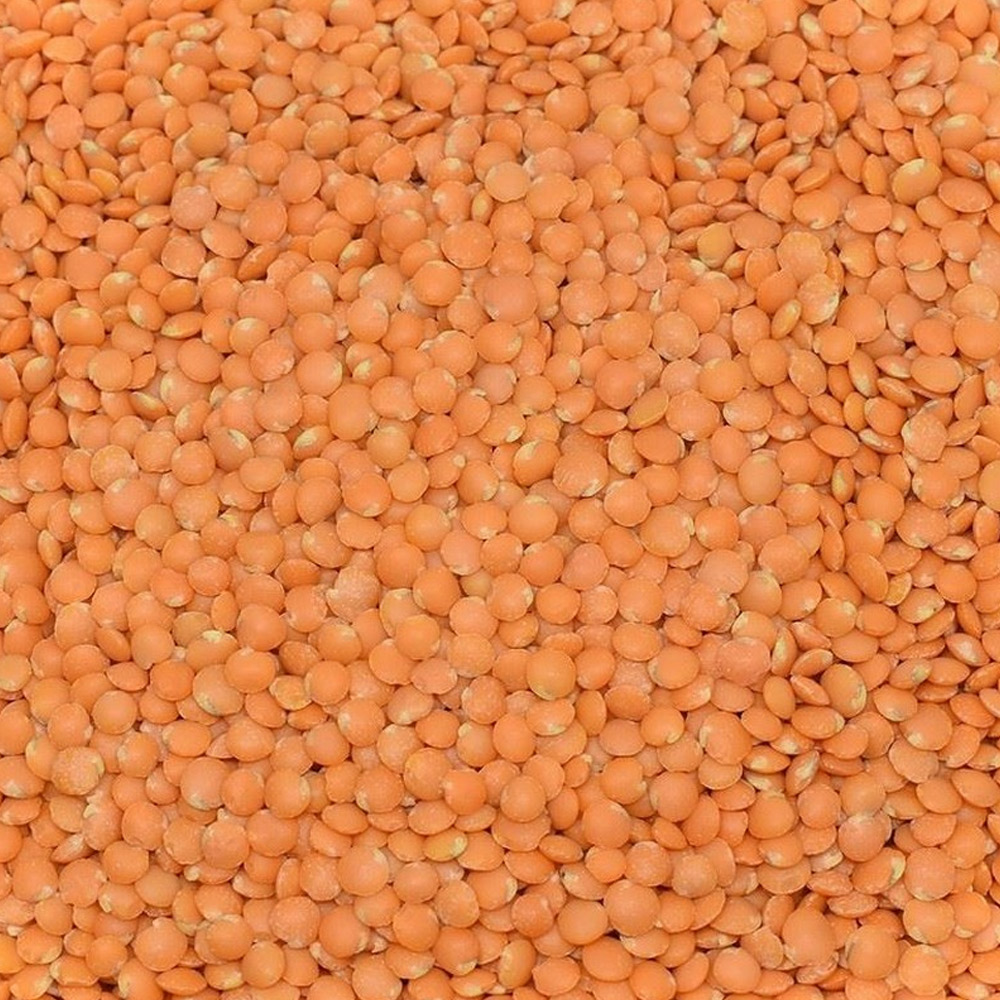 Red Leaf Lentils (Imported Natural)