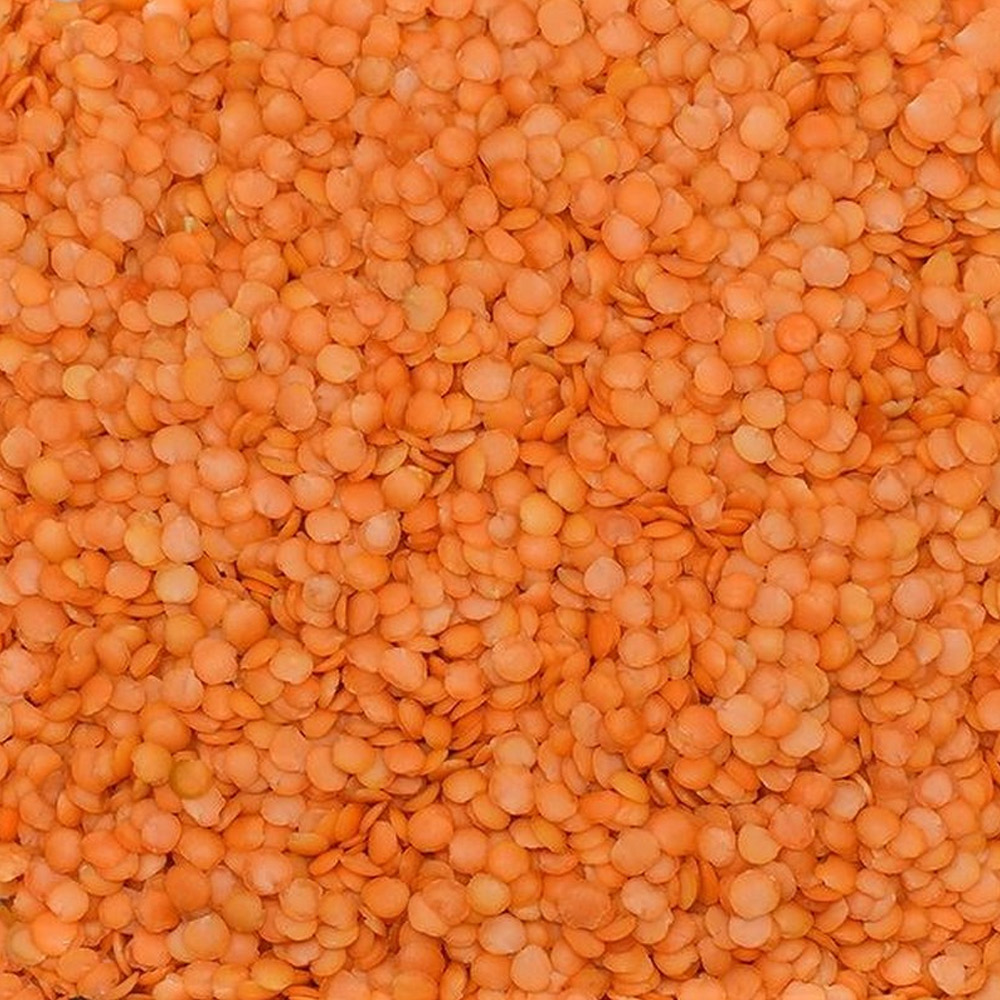 Red Leaf Lentils (Local Istanbul Cila)