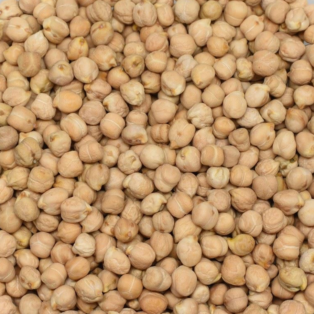 Chickpea 7.5 mm