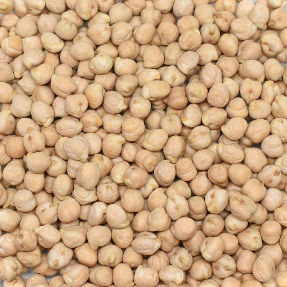 Chickpea 8mm