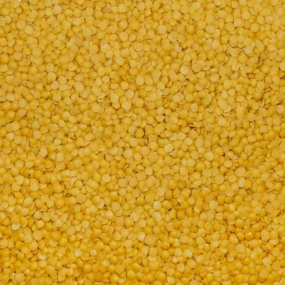 Yellow Leaf Lentils