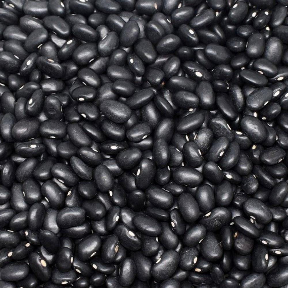 Black Beans