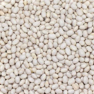 Ethiopian Beans