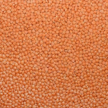 Red Football Lentils (Turkey Origin) Natural