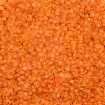 Red Leaf Lentil (Imported Izmir Polish)