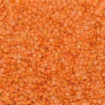 Red Leaf Lentil (Local Istanbul Cila)