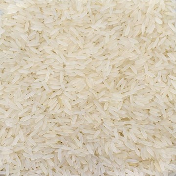 PR 11 Pirinç