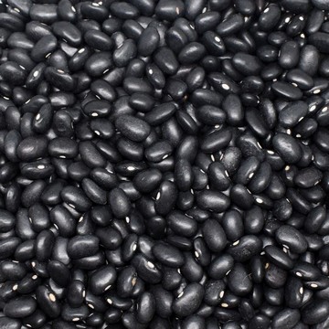 Black Beans