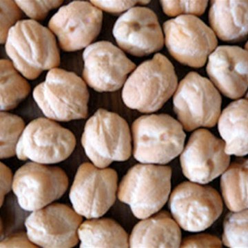 Certified AZKAN Chickpea Seed