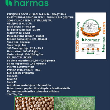 Certified AZKAN Chickpea Seed